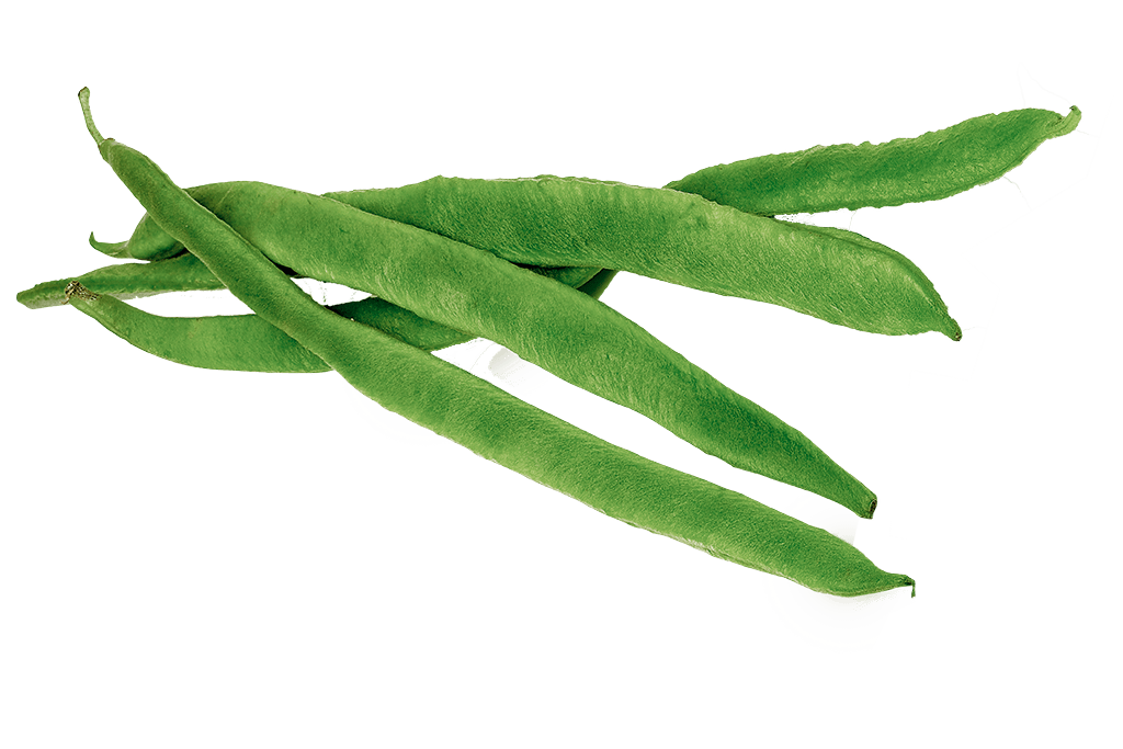 Fresh Beans Transparent PNG Image