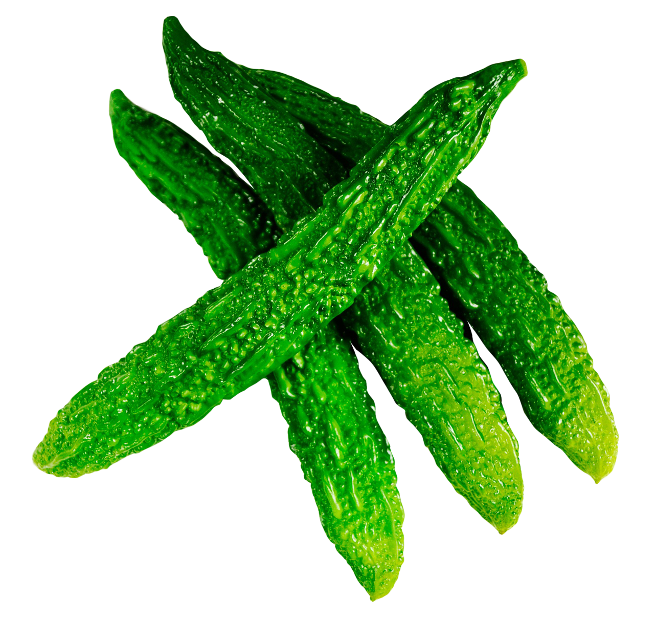 Gourd Fresh Bitter Transparent PNG Image