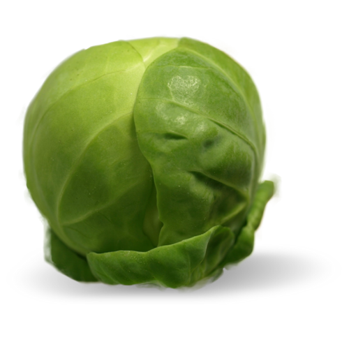 Sprouts Brussels Transparent PNG Image