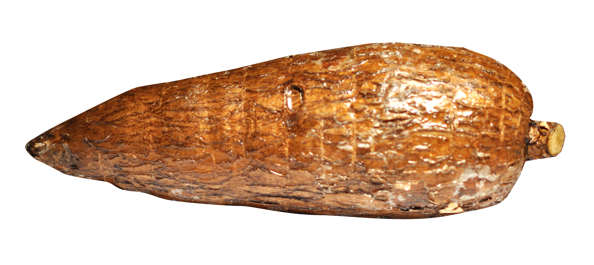 Cassava Transparent PNG Image