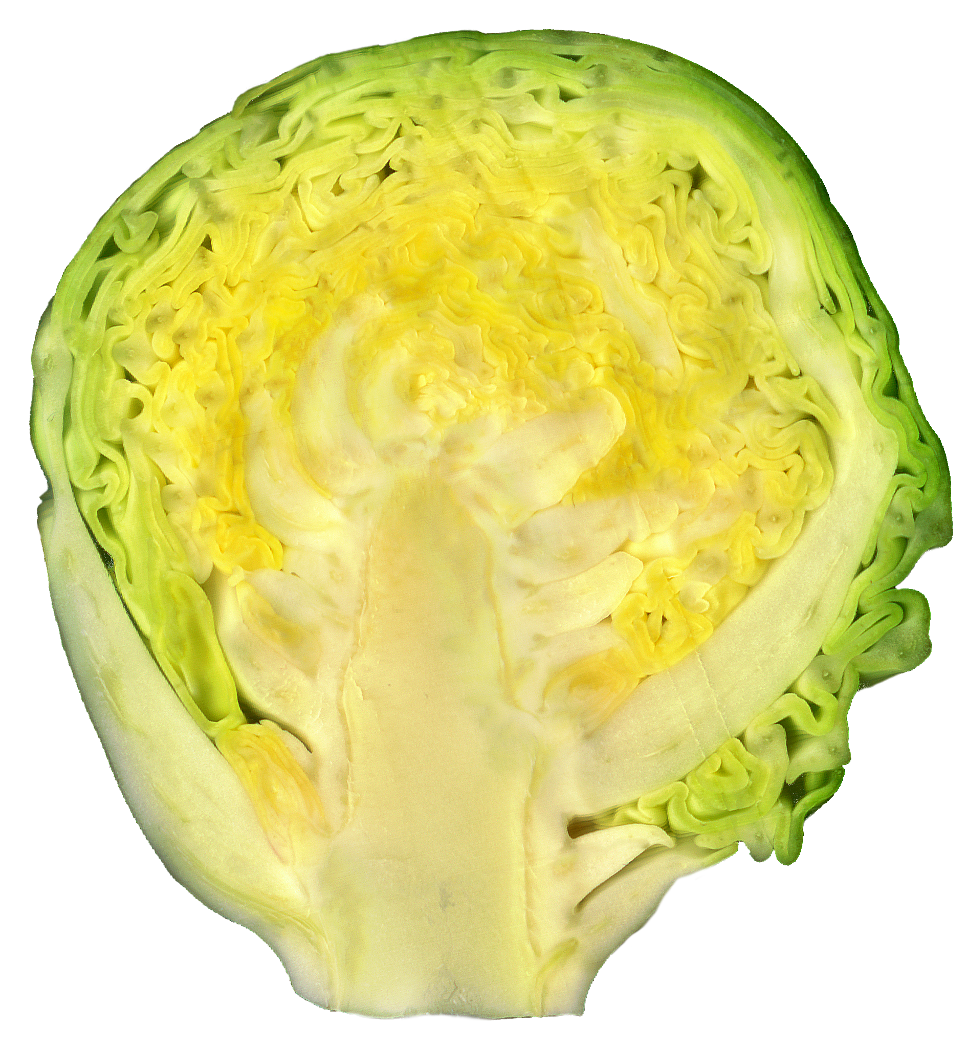 Sprouts Brussels Half Transparent PNG Image