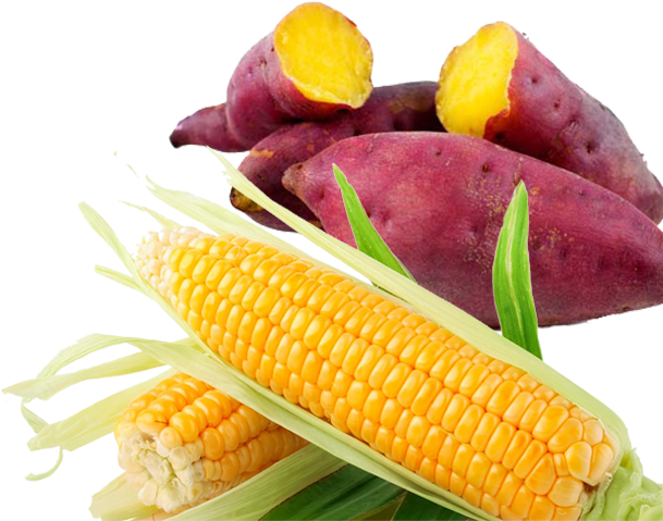 Cassava Half Transparent PNG Image