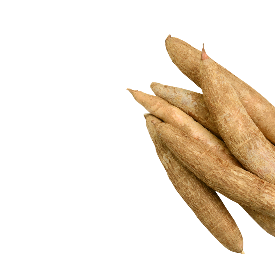 Organic Cassava File Transparent PNG Image