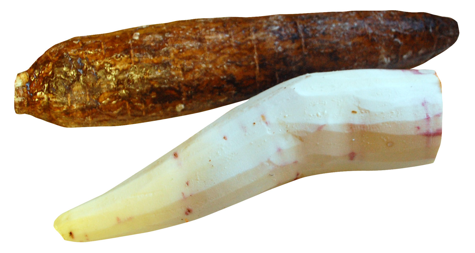 Organic Cassava Transparent PNG Image