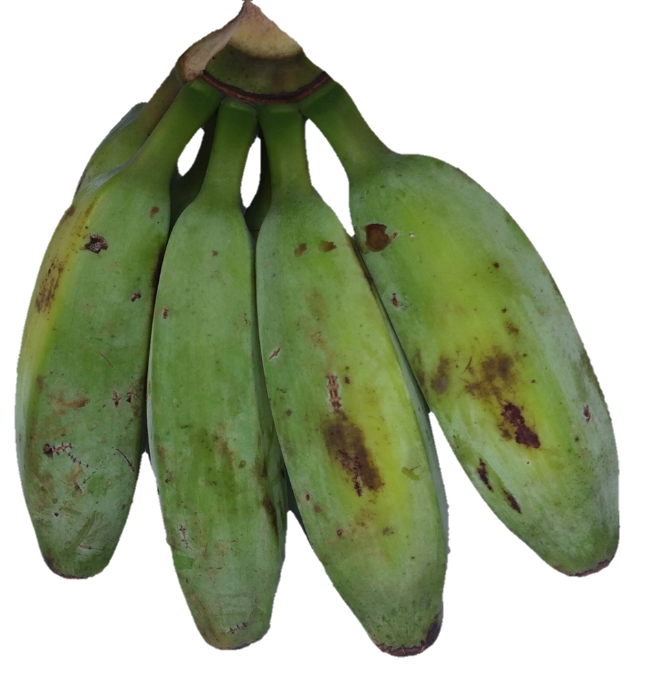 Plantain Green Transparent PNG Image