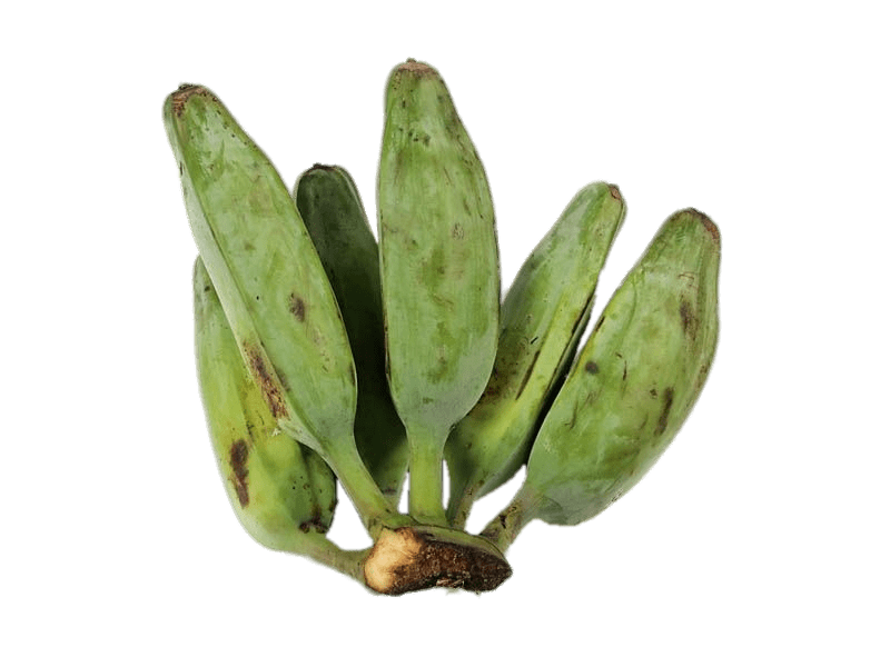 Plantain Green Transparent PNG Image