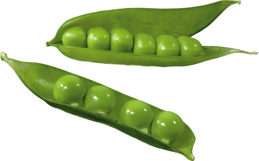 Green Organic Pea Transparent PNG Image