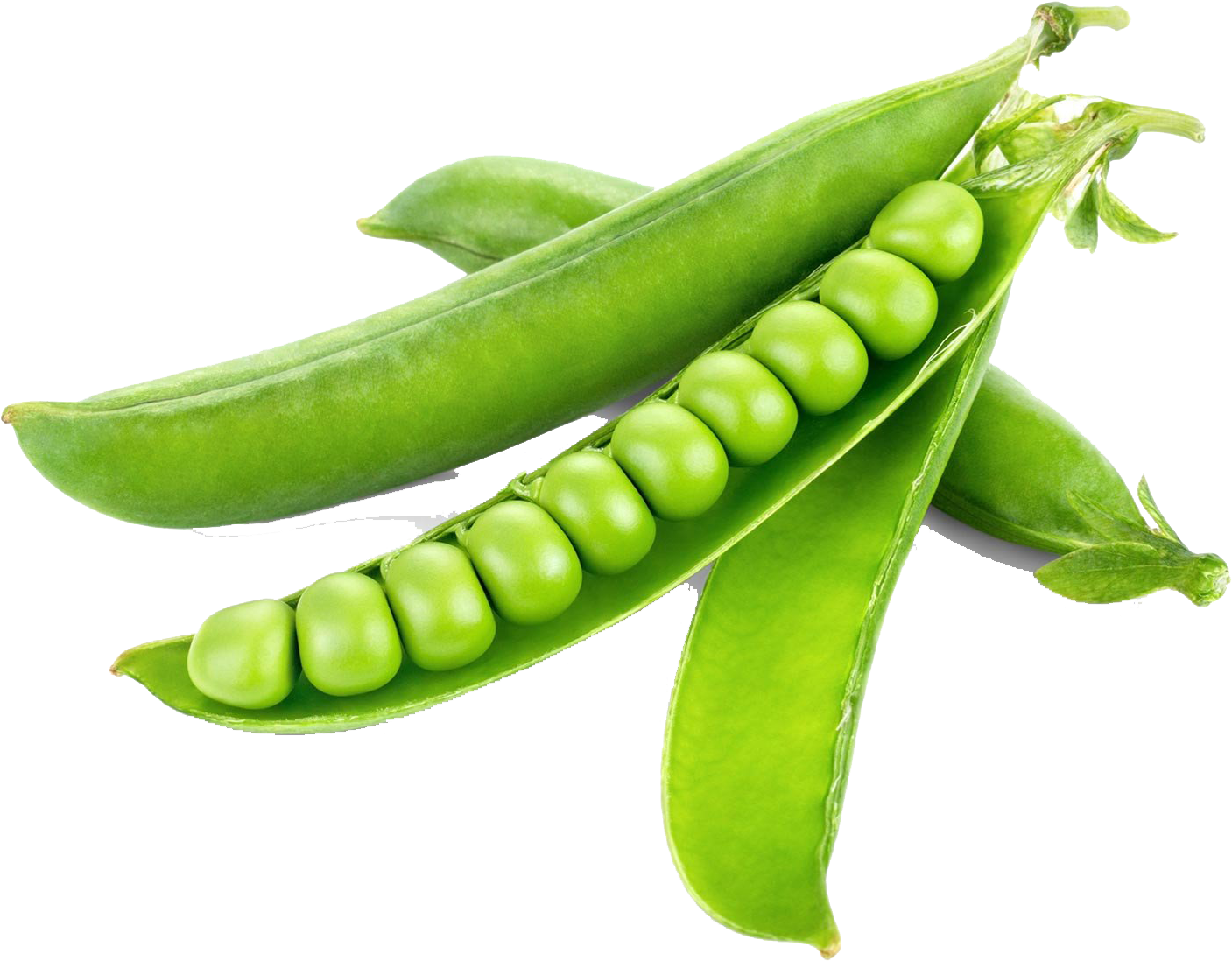Green Organic Pea Transparent PNG Image