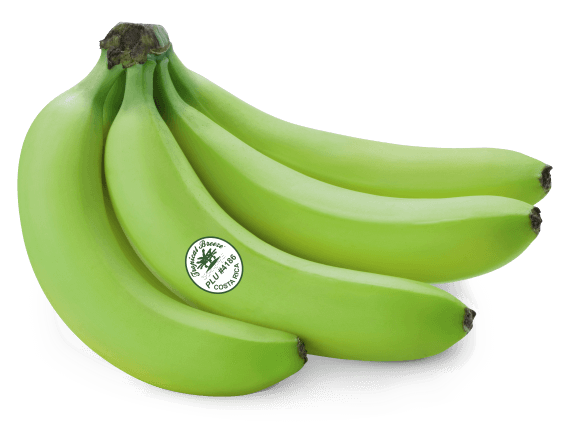 Green Organic Plantain Transparent PNG Image
