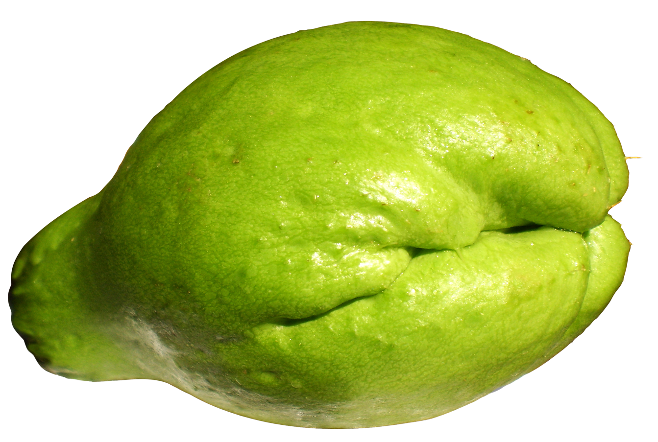 Chayote Transparent PNG Image