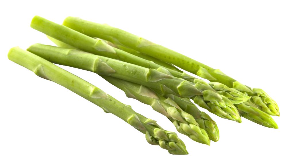 Fresh Celtuce Transparent PNG Image