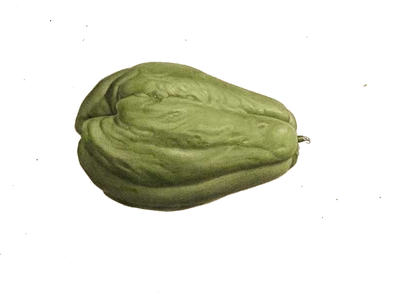 Fresh Chayote Transparent PNG Image