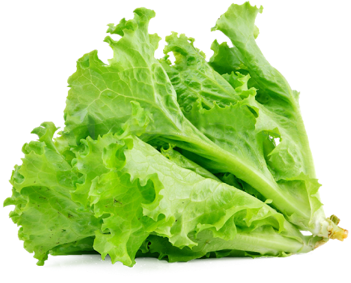 Celtuce Green Transparent PNG Image