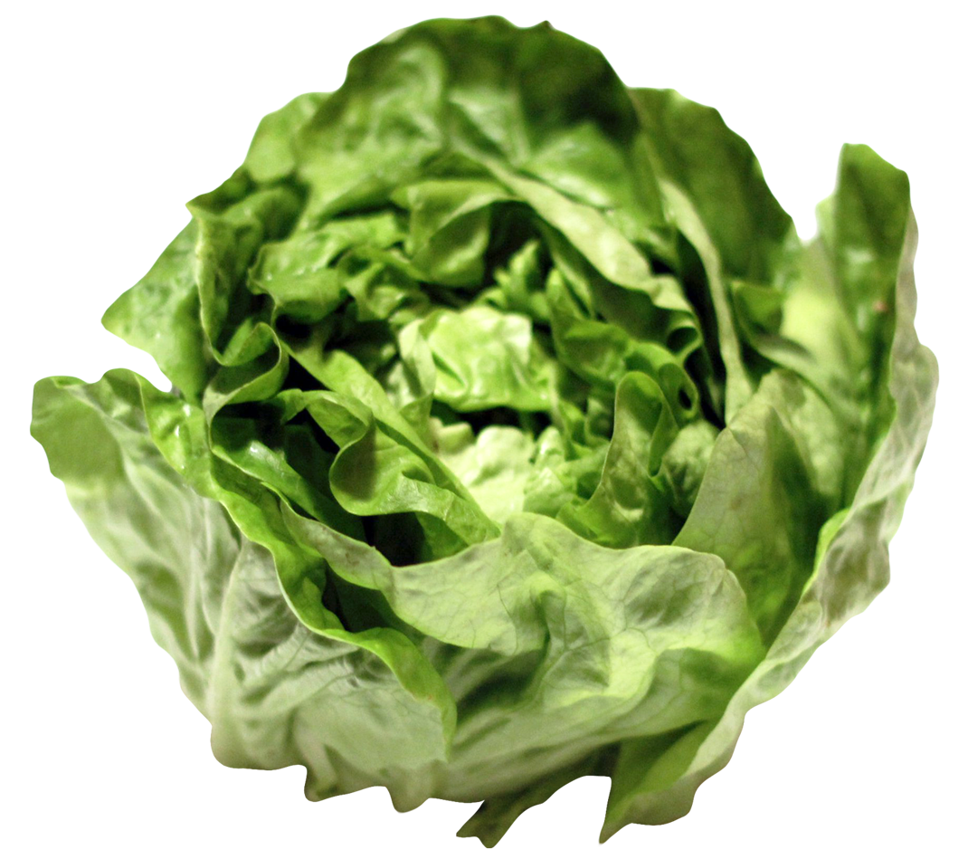 Celtuce Green Transparent PNG Image