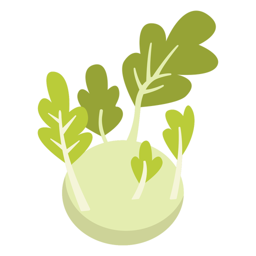 Kohlrabi Transparent PNG Image