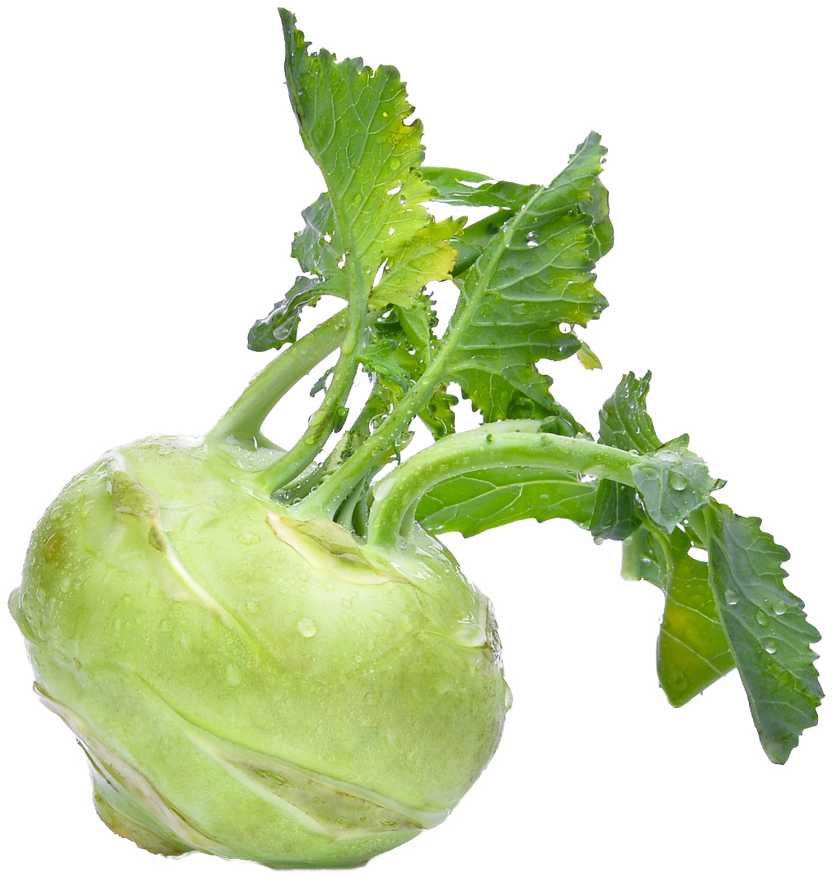 Kohlrabi Transparent PNG Image