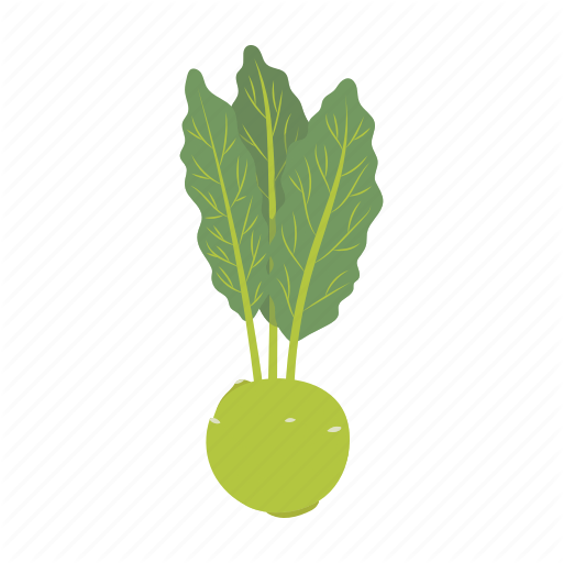 Kohlrabi Transparent PNG Image