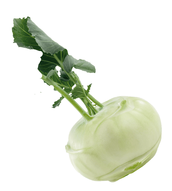 Kohlrabi Transparent PNG Image