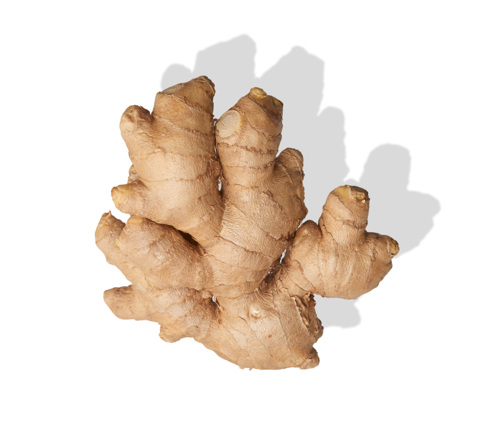 Fresh Galangal Transparent PNG Image