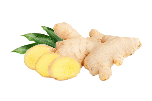 Fresh Galangal Transparent PNG Image