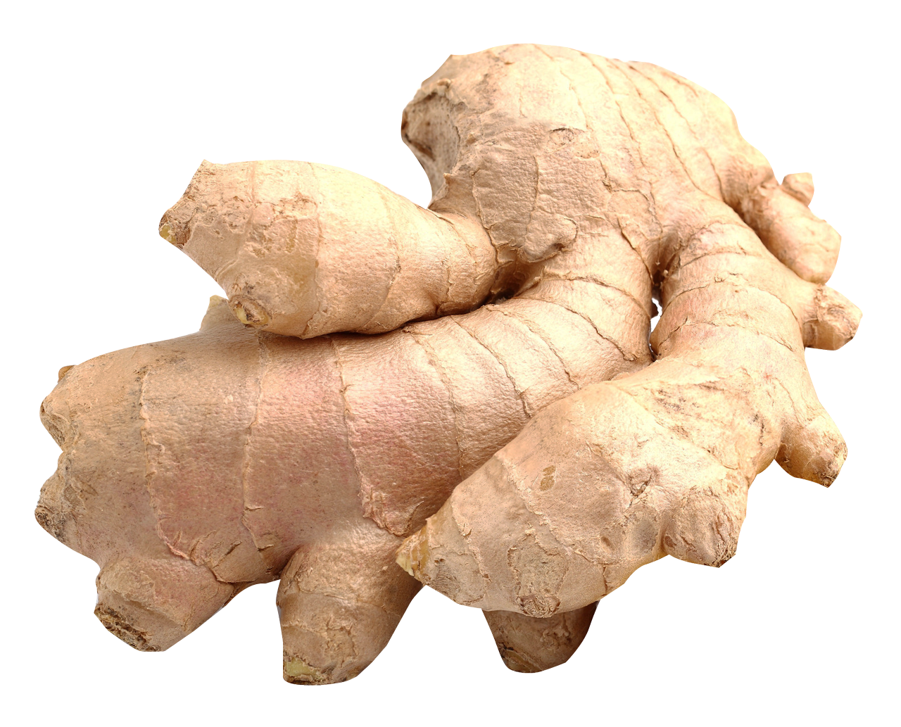Fresh Galangal Transparent PNG Image