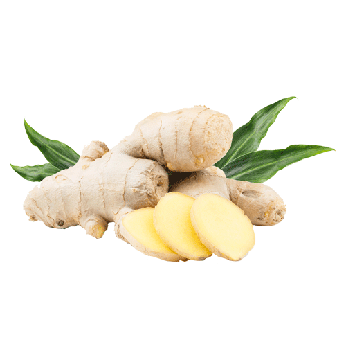Fresh Galangal Transparent PNG Image