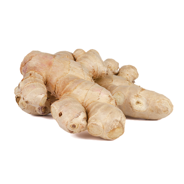 Fresh Galangal Transparent PNG Image
