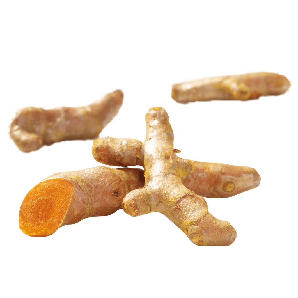 Galangal Transparent PNG Image