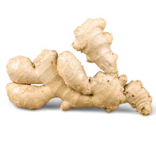 Galangal Transparent PNG Image
