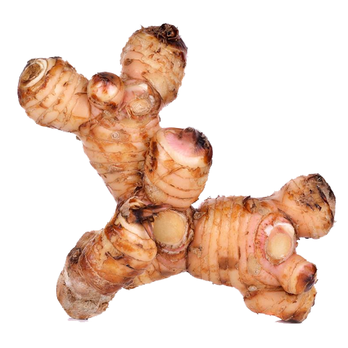 Galangal Transparent PNG Image