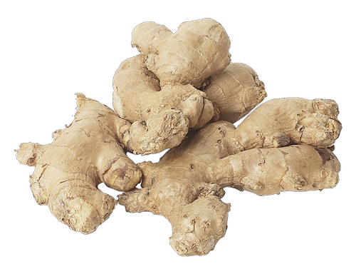 Galangal File Transparent PNG Image