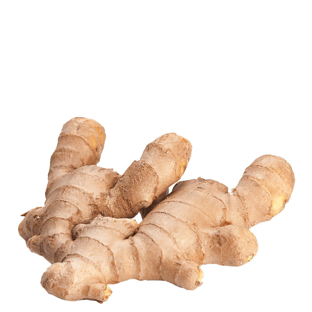 Galangal Transparent PNG Image