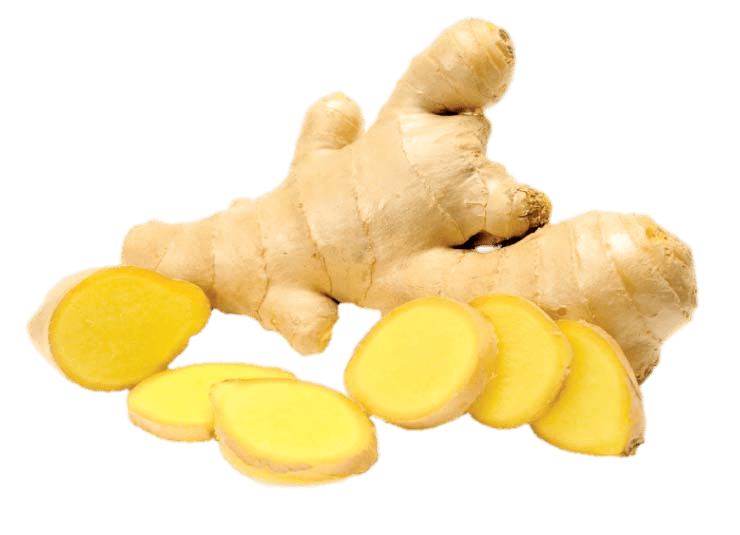 Organic Galangal Transparent PNG Image