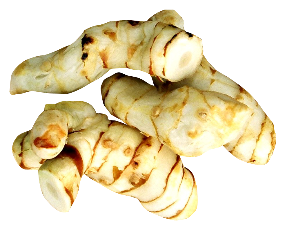 Organic Galangal Transparent PNG Image