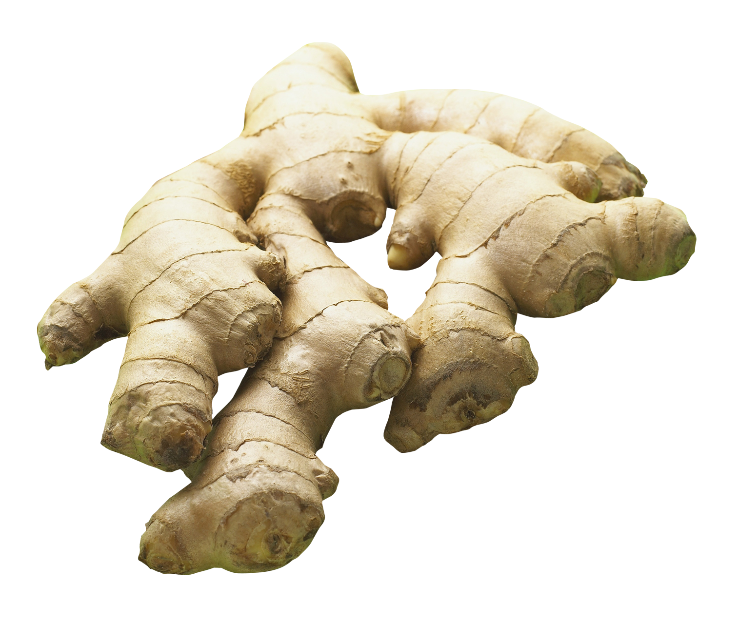 Organic Galangal Transparent PNG Image