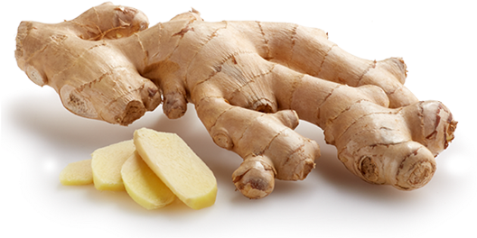 Organic Galangal Transparent PNG Image