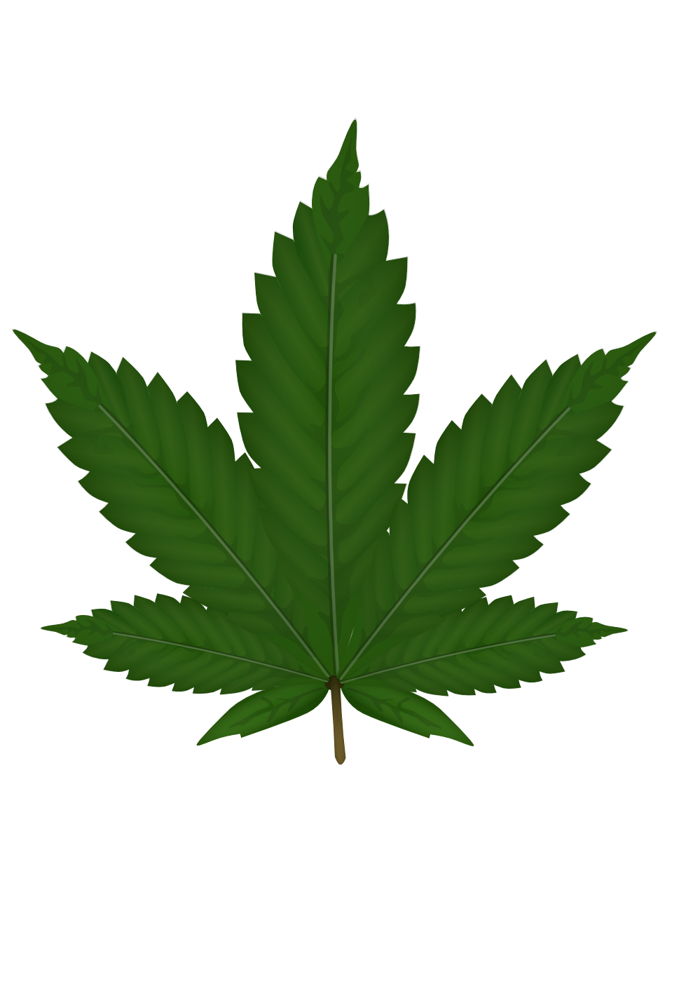 Green Leaf Transparent PNG Image