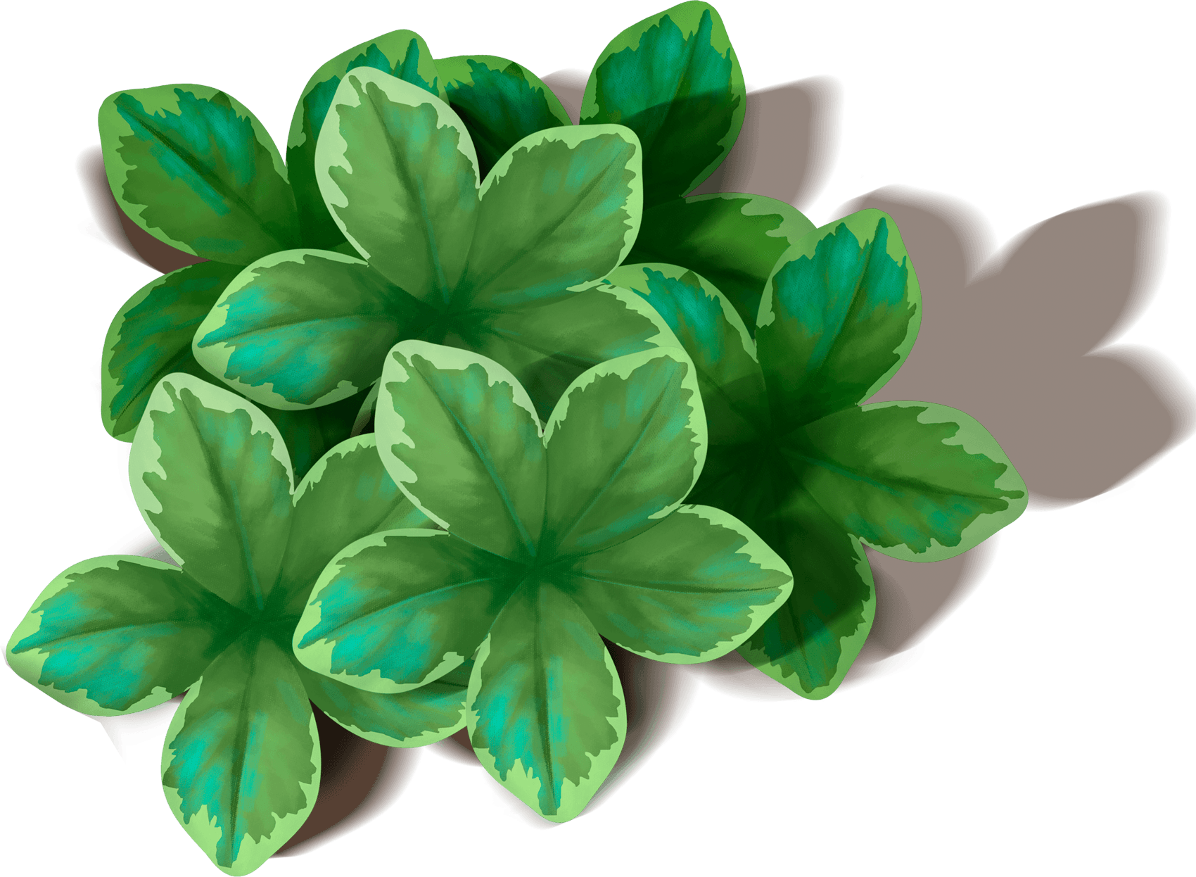 Green Leaf Transparent PNG Image