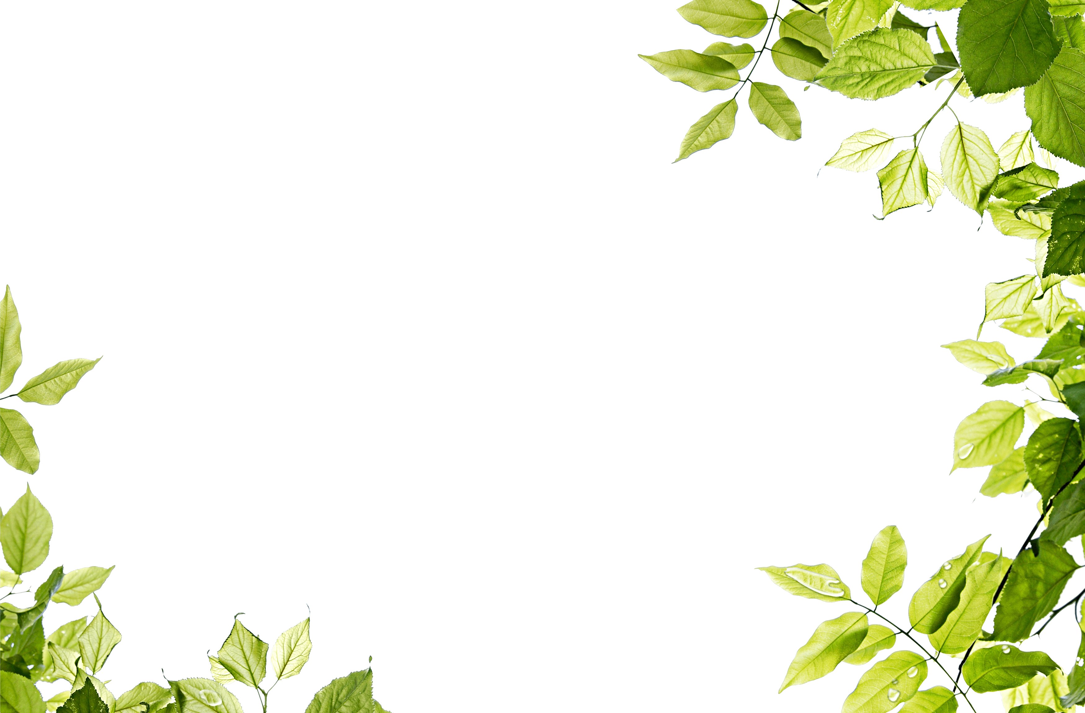 Green Leaves Frame Transparent PNG Image