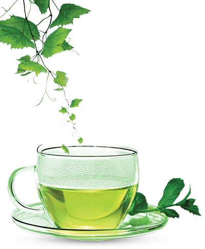Green Tea Transparent PNG Image