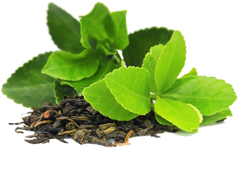 Green Tea Transparent PNG Image