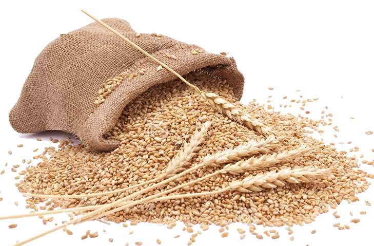 Grain Transparent PNG Image