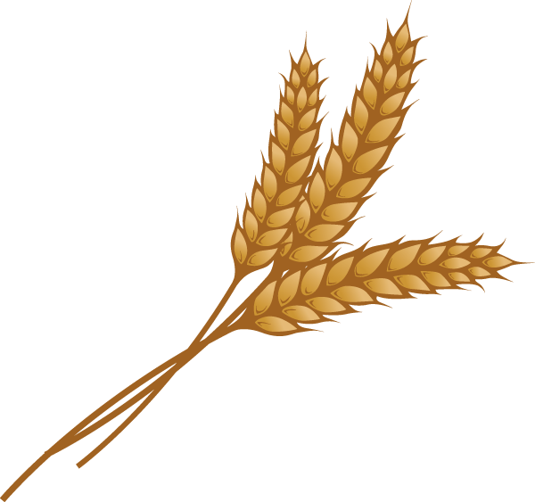 Grain Transparent PNG Image
