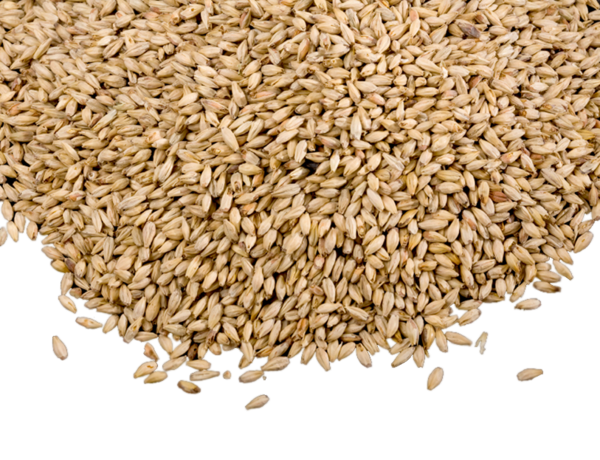 Grain Transparent PNG Image