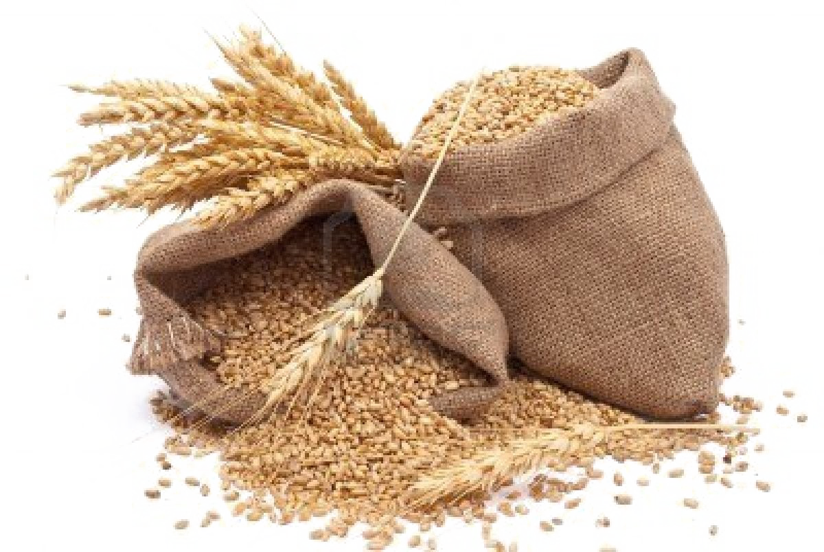 Grain Transparent PNG Image
