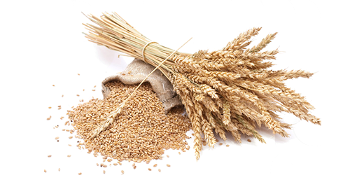 Grain Transparent PNG Image