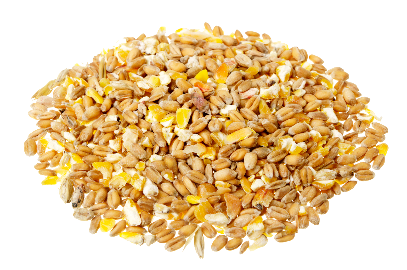 Grain Transparent PNG Image