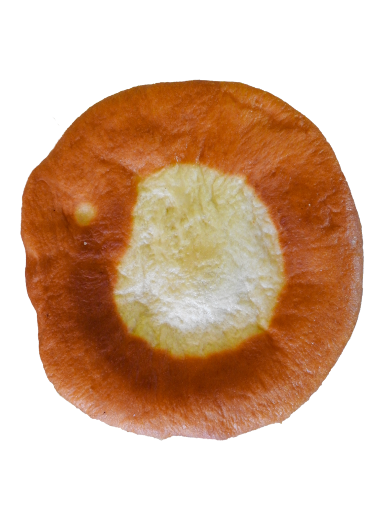 Donut Transparent PNG Image