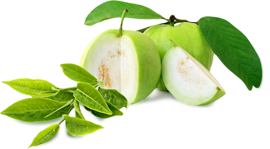 Guava Transparent PNG Image