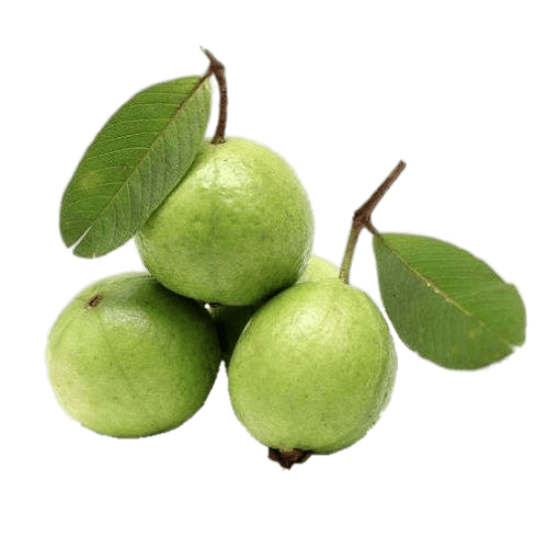 Guava Green Transparent PNG Image